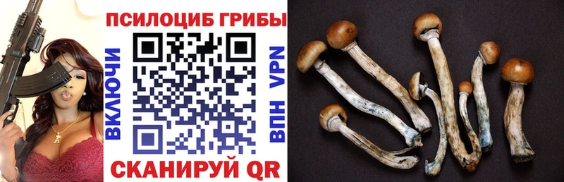 Галлюциногенные грибы мухоморы  omg ONION  Слободской 