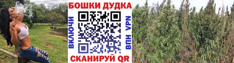 blacksprut ТОР  что такое   Слободской  Бошки марихуана White Widow 